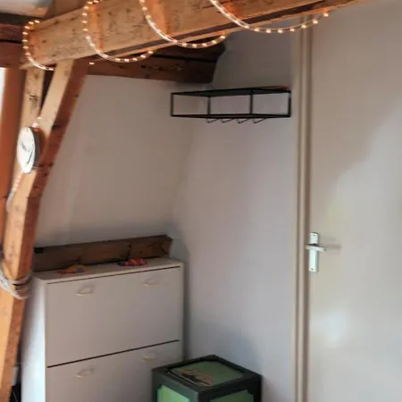 Seehorse * Den Oever